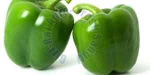 Fresh Green Capsicum