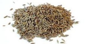 Cumin Seeds