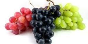 Fresh Grapes