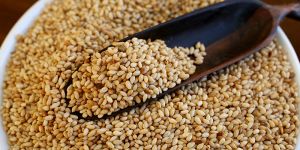 Sesame Seeds