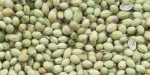 Coriander Seeds