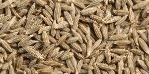 Cumin Seeds