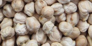 White Chickpeas
