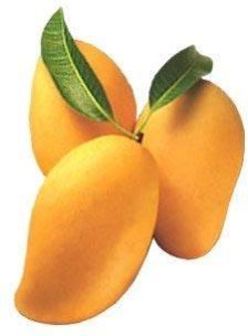 Fresh Alphonso Mango