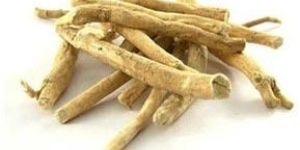 Ashwagandha Extract