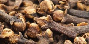 Clove Seeds