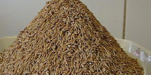 Cumin Seeds