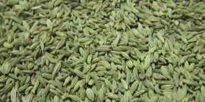 Fennel Seeds
