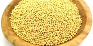 Yellow Mustard Seeds