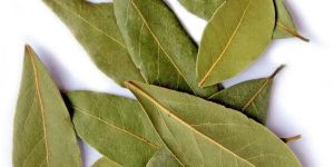 Bay Leaves