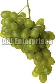 Fresh Green Grapes