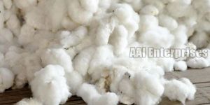 Raw Cotton