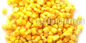 Sweet Corn Seeds