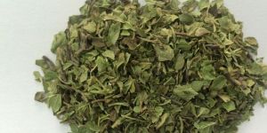 Oregano Leaves