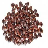 Roasted Tamarind Seeds