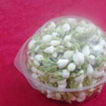 Jasmine Flowers
