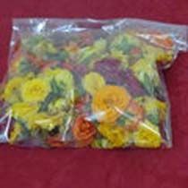 Marigold Flowers