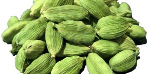 Cardamom