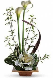 Fresh Orchid Flowers