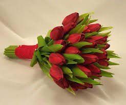 Fresh Tulip Flowers