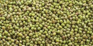 Green Mung Beans
