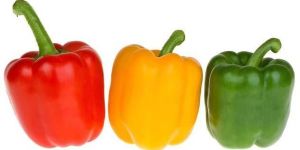 Fresh Capsicum