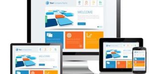 Custom Web Development Services