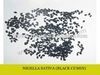 Nigella Sativa Extract