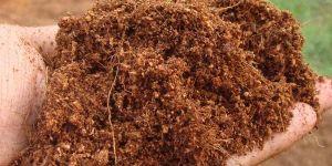 Coco Peat Fibre