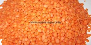 Masoor Dal