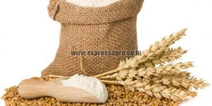 Wheat Flour