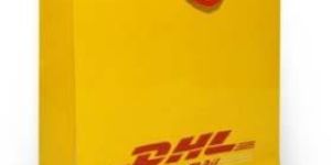 Customized Paper Carry Bags