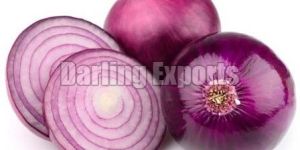 Red Onion