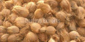 Semi Husked Coconut