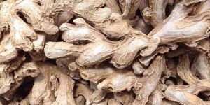 Dry Ginger