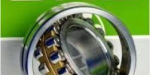 Roller Bearings