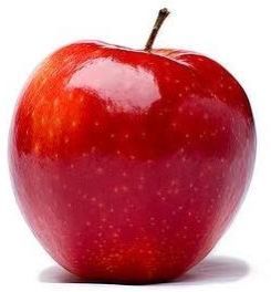 Fruit Export Services