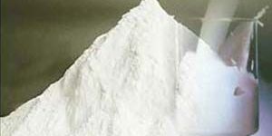 Coconut Powder