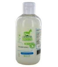 Donkey Milk