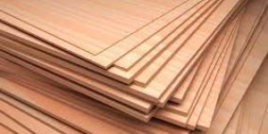 Plywood Sheets