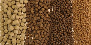 Poultry Feed