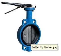 Butterfly Valve