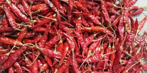 Dried Red Chilli