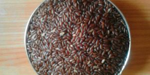 Mappillai Samba Pure Organic RED Rise