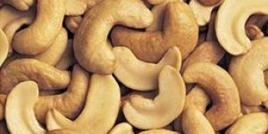 Cashew