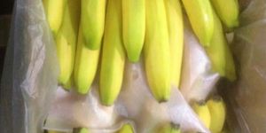 Fresh Banana
