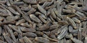 Black Cumin Seeds