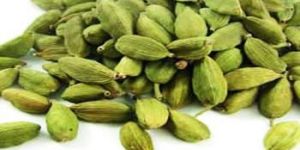 Cardamom