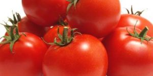 Red Tomato