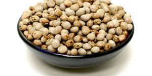 Pigeon Peas